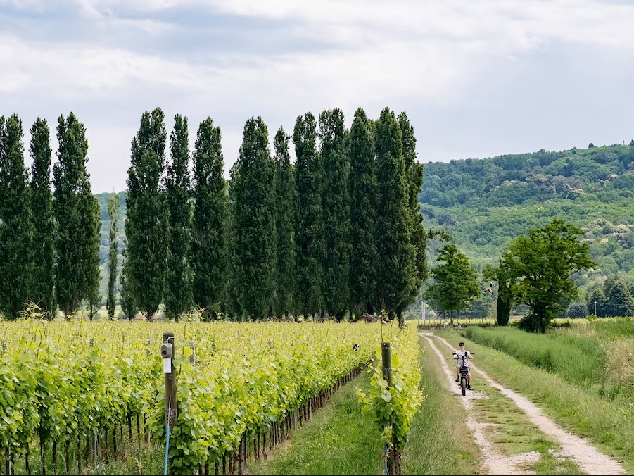 Community program hero